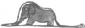 Elefante